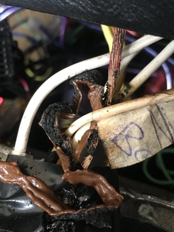 Brown wire shorted to earth.jpg