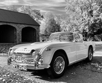 TR4a irs
