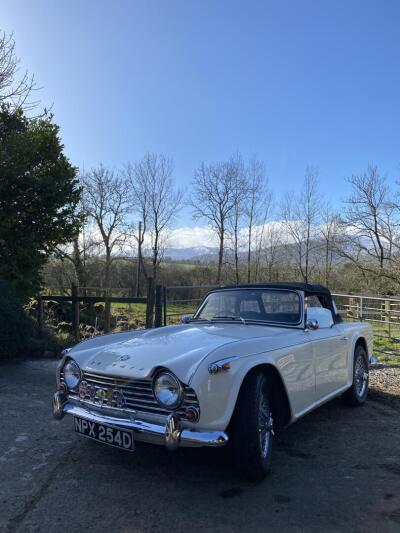 TR4a irs
