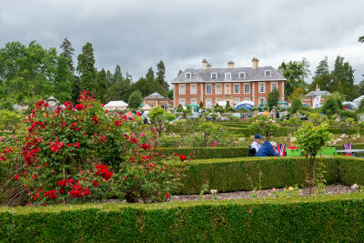 Brunel TRs at Highnam Court Family Day