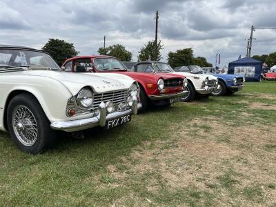 Bromley Pageant of Motoring at Ardingly
