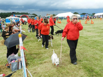 East Saxons at The Five Parishes Show - Abberton
