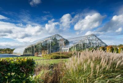 Explore RHS Garden Wisley with the TR Register Car Club
