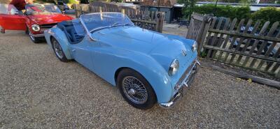 August Evening Sunshine Brings Out the TRs