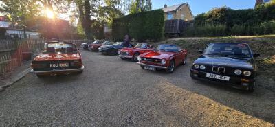 August Evening Sunshine Brings Out the TRs