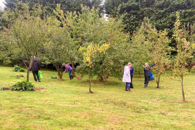 Brunel at Greedy Goose - 7 September 2025