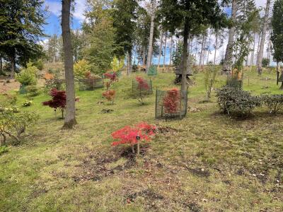 WHARFEDALE VISIT TO THE HIMALAYAN GARDENS RIPON