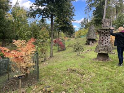 WHARFEDALE VISIT TO THE HIMALAYAN GARDENS RIPON