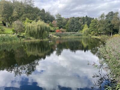 WHARFEDALE VISIT TO THE HIMALAYAN GARDENS RIPON