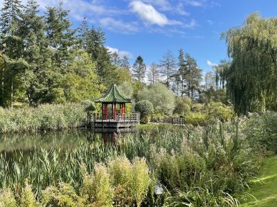 WHARFEDALE VISIT TO THE HIMALAYAN GARDENS RIPON
