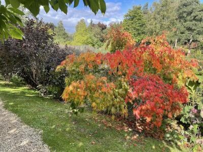 WHARFEDALE VISIT TO THE HIMALAYAN GARDENS RIPON