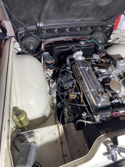 TR4a irs