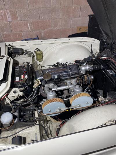 TR4a irs