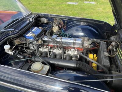 TR5 1969 Royal Blue