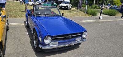 Kennet Valley Group at the Pangbourne Classic Car Show