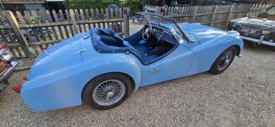 August Evening Sunshine Brings Out the TRs