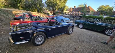 August Evening Sunshine Brings Out the TRs