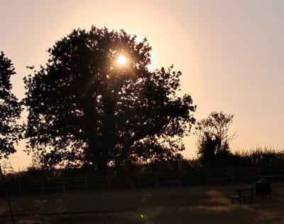 Summer BBQ Night: Great Company Under a Fading Sun