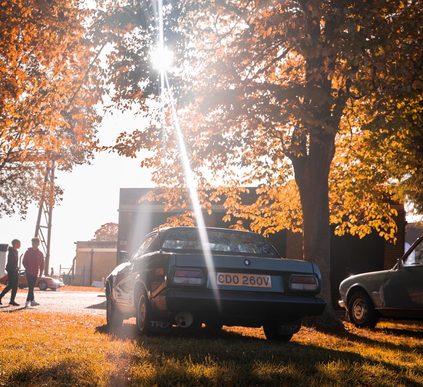 Autumn TR7-3.jpg?v20251222134406