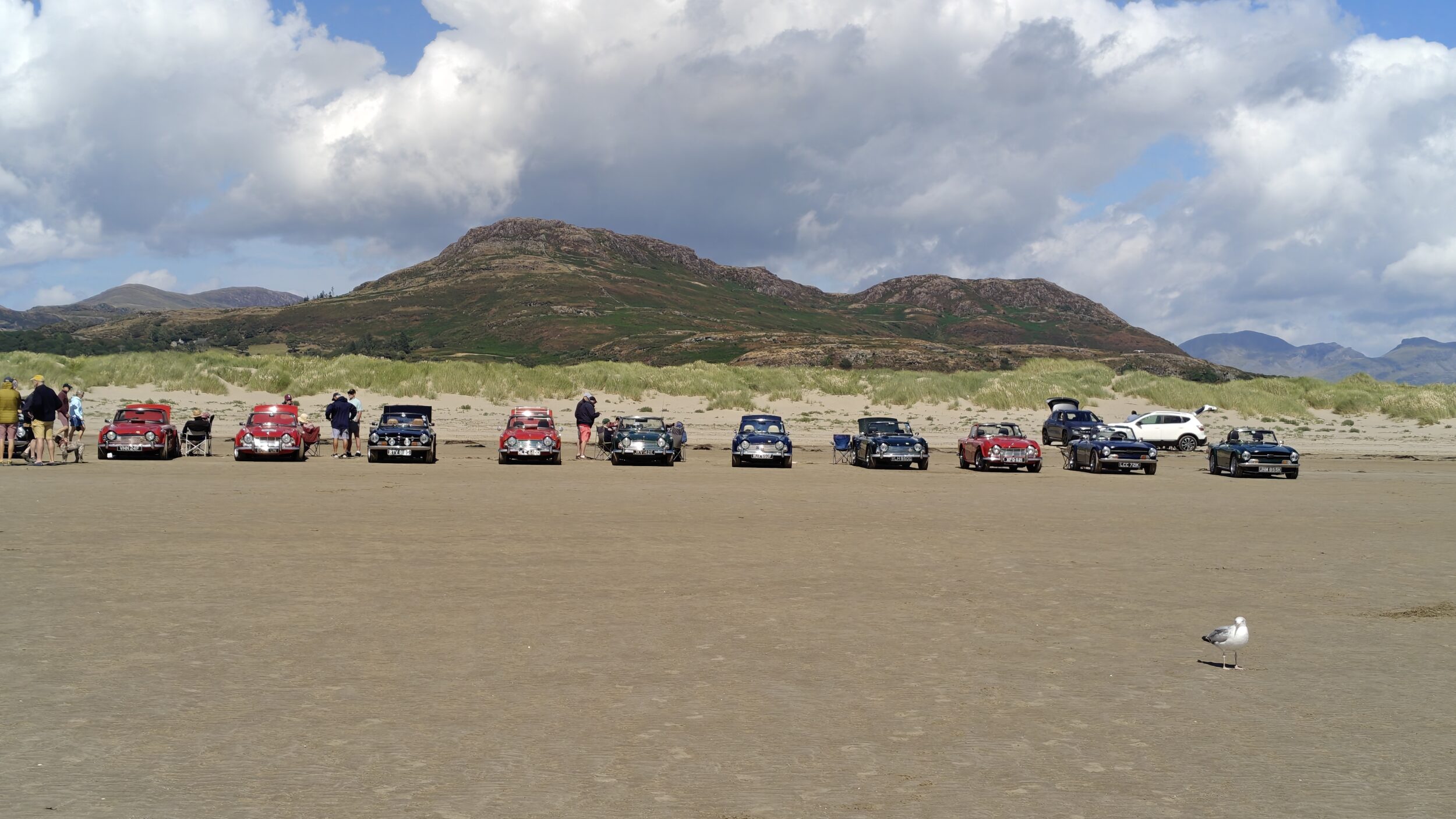 TR Torque Issue 17 -Shropshire Group's Occasional Newsletter August 2026