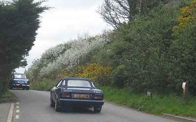 Full blossom time in Cornwall