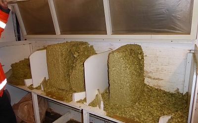 Hops come in pressed blocks