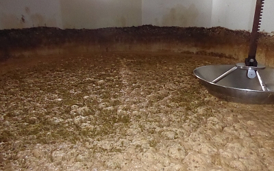 A sea of working yeast!