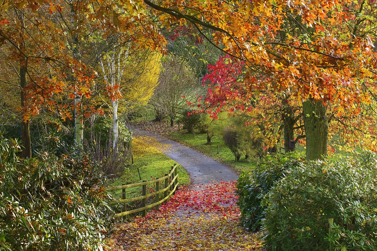 Shropshire Group's Autumn Run